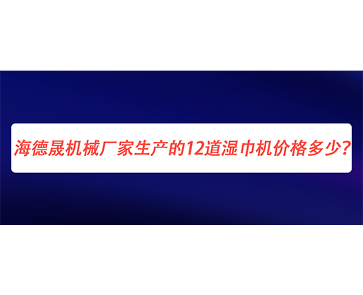 海德晟機械廠家生產的12道濕巾機價格多少？
