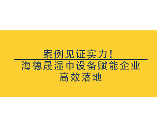 案例見證實力！海德晟濕巾設(shè)備賦能企業(yè)高效落地，搶占行業(yè)先機(jī)